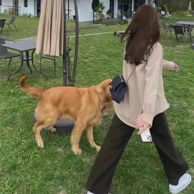 古装武侠