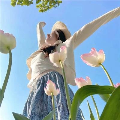 荒野上的光